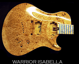 Warrior Instruments Burl guitar